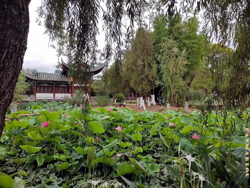KUNMING - Parc Daguan - 65.jpg
